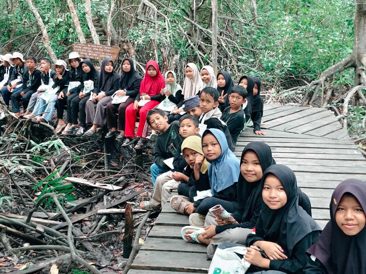 Hutan Mangrove